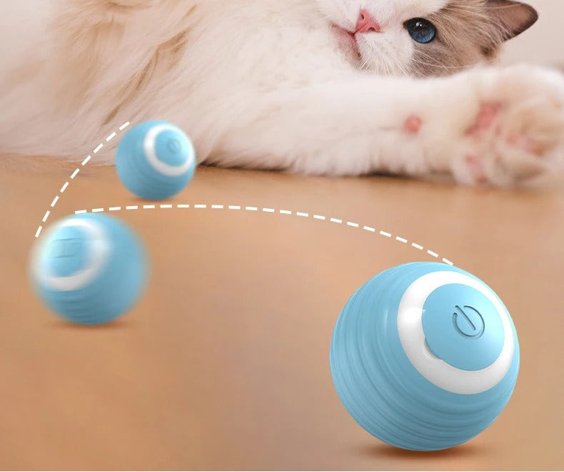 AutoSpin™ - Let your pets enjoy their zoomies even when you are tired!