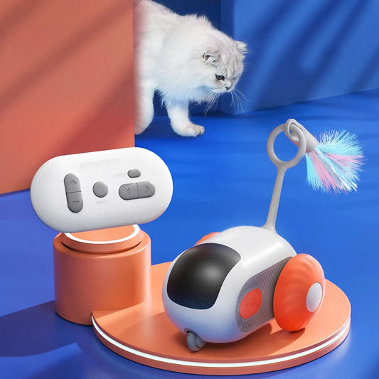 PawBot™ Remote car