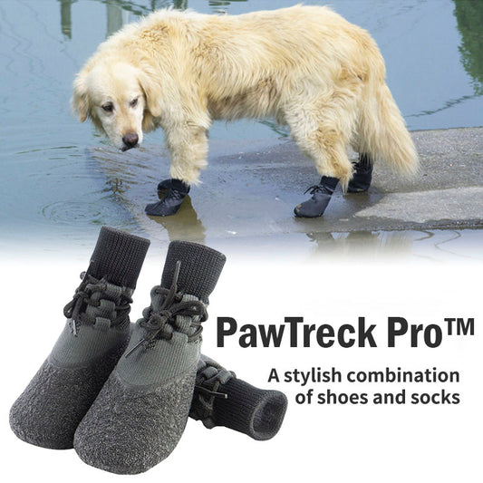 PawTrek Pro™ Unleash adventure