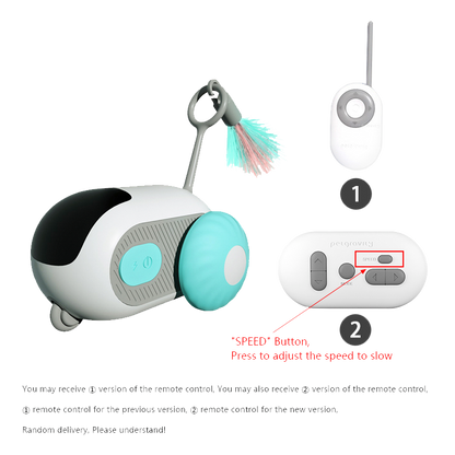 PawBot™ Remote car